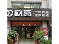 欧高全屋顶饰 健康墙面福建将乐专卖店