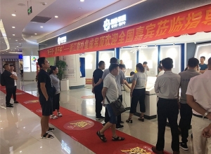 朗朴吊顶武汉市汉阳欧亚达专卖店