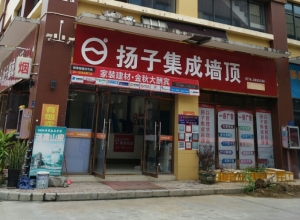 扬子集成墙顶广西梧州专卖店 (194播放)