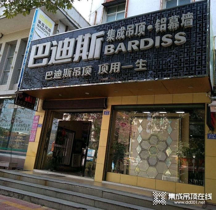 巴迪斯精工顶墙福建龙海专卖店