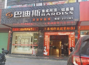 巴迪斯精工顶墙福建漳浦县专卖店