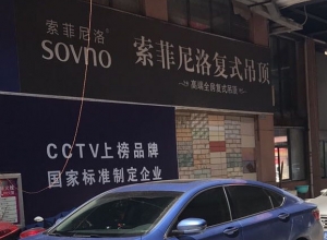 索菲尼洛复式吊顶江西吉安县专卖店