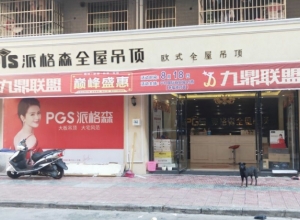 派格森全屋吊顶江西修水县专卖店