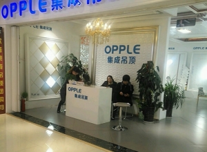 OPPLE集成吊顶天津红桥区专卖店 (99播放)
