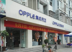 OPPLE集成吊顶陕西汉中专卖店