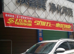 顶善美净化吊顶湖南东安专卖店