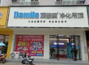 顶善美净化吊顶江西上高县专卖店