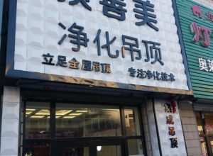 顶善美净化吊顶辽宁营口鲅鱼圈专卖店