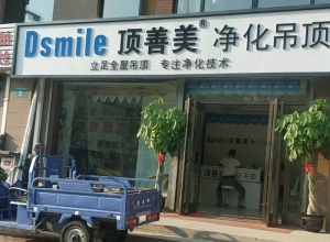 顶善美净化吊顶辽宁葫芦岛兴城专卖店