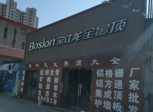 宝仕龙全景顶天津宝坻区专卖店