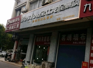 宝仕龙全景顶江苏射阳县专卖店