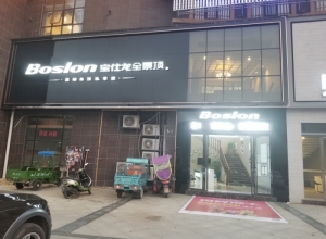 宝仕龙全景顶江西修水县专卖店