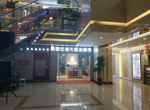 宝仕龙大板全景顶山东潍坊专卖店 (1039播放)