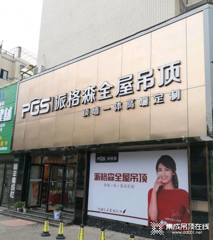 派格森全屋吊马鞍山花山区专卖店