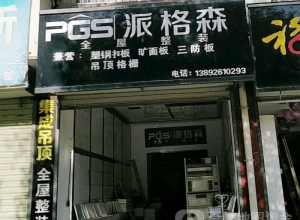 派格森全屋吊陕西汉中专卖店