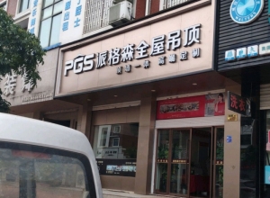 派格森全屋吊顶浙江永康专卖店 (198播放)