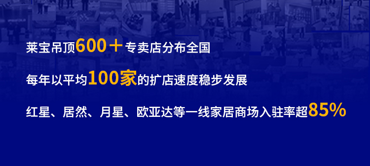 德莱宝定制吊顶招商海报_24